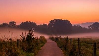 Rerum est et sed sed illo molestias.